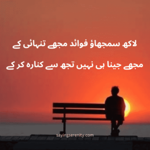 urdu shayari